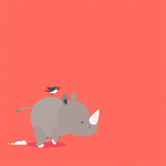 Gif animé rhinocéros charge